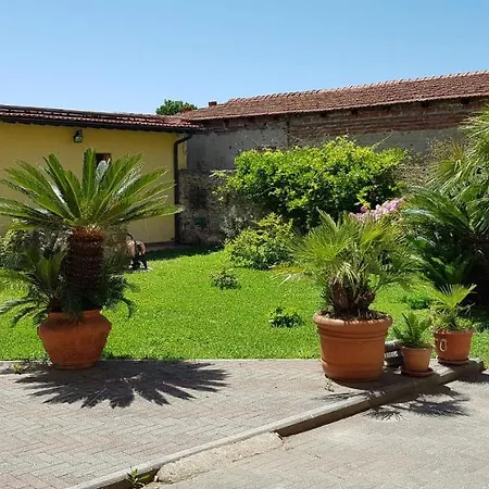 Il Lauro
